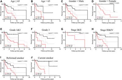 Smoking patients with laryngeal cancer screened with a novel immunogenomics-based prognostic signature